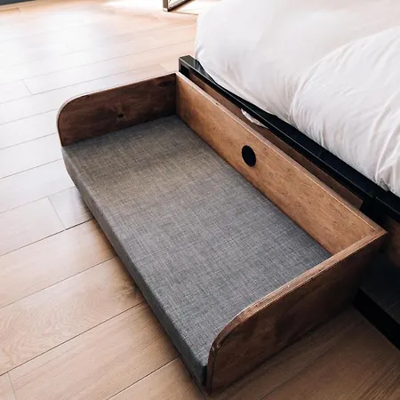 Alaia 克莱恩 蒙塔纳